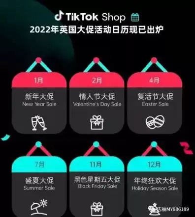 新加坡云服务器提供商，新加坡云服务器tiktok