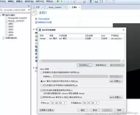 vmware虚拟机ip和主机ip一样，vm虚拟机和主机共用一个ip