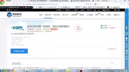 域名注册是干什么的，域名注册信息有哪些内容呢