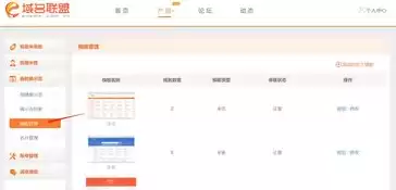 域名注册成功了为什么进不了网站，域名注册的网站信息查询怎么查询不到呢