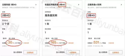 阿里云服务器一年费用，阿里云网站服务器多少钱一个月