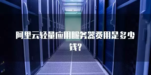 阿里云轻型应用服务器，阿里云轻量应用服务器是什么