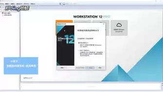 查看虚拟机信息，vmware里面怎么识别虚拟机