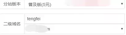 注册二级域名怎么填写的，注册二级域名怎么填写