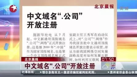 抢注中文域名查询，中文域名被抢注的危害