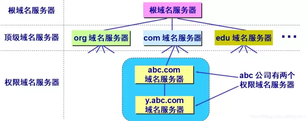 域名服务器中存放internet主机的，internet域名服务器的作用是