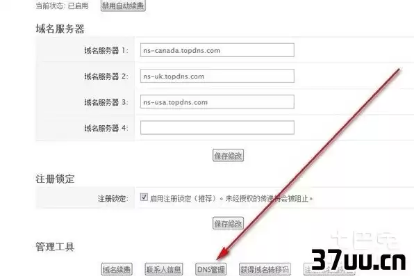 已注册域名查询，域名注册的网站信息查询怎么查询不了呢