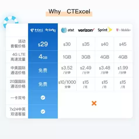 电信租服务器多少钱一个月，电信云服务器租用