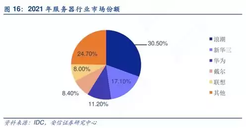 生产服务器的上市公司龙头有哪些，生产服务器的上市公司龙头