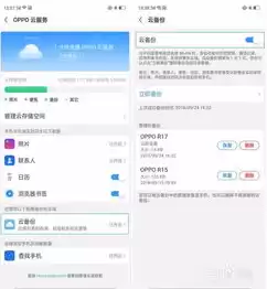 cloud.oppo com云服务忘记密码，oppo官网云服务入口找回密码