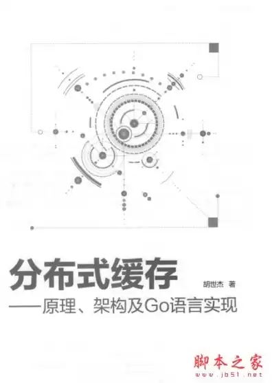 分布式对象存储:原理、架构及go语言实现，分布式对象存储系统，基于Go语言的分布式对象存储系统原理、架构设计与实现