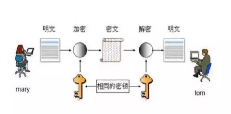 服务器密码机和网络密码机的区别是什么，服务器密码机和网络密码机的区别，深入解析，服务器密码机与网络密码机的核心区别与应用场景