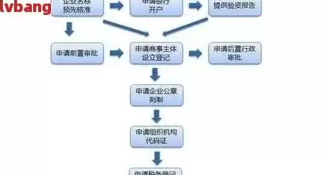 公司注册域名流程和费用多少，公司注册域名流程和费用，公司注册域名的详细流程与费用解析