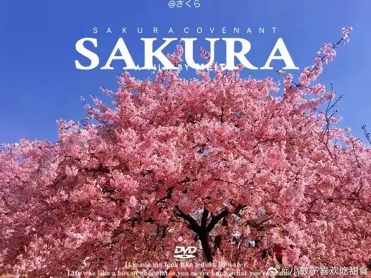 日本樱花服务器sakura哦在家，日本樱花服务器下载app，日本樱花服务器 sakura 的魅力之旅，在家轻松下载体验日本樱花之美