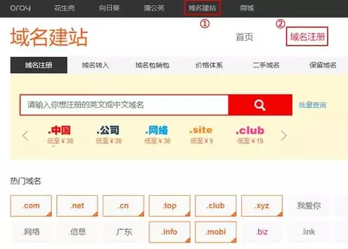 注册域名查询官网，注册域名查询，全面解析注册域名查询官网，域名注册、查询与维护全攻略