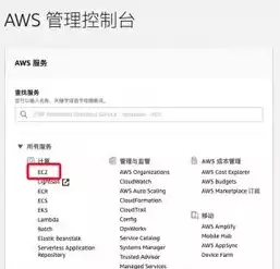 亚马逊云服务器要怎么操作呢，亚马逊云服务器要怎么操作，亚马逊云服务器操作指南，从入门到精通