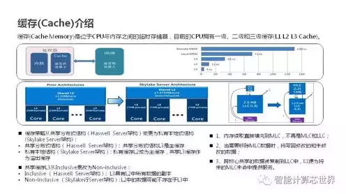 vps云服务器是什么意思，VPS云服务器深度解析，功能、优势与搭建指南