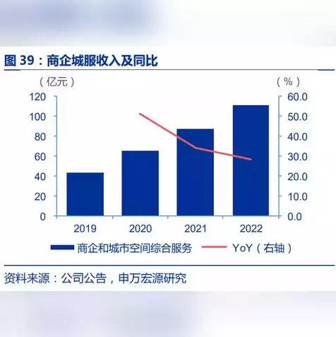 中国云服务竞争力排名前十，2023年中国云服务竞争力排名，揭秘十大行业巨头崛起之路