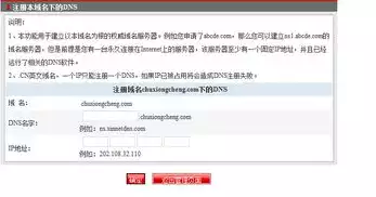 怎么查询域名注册信息，全面解析，如何查询域名注册信息——实用指南与操作步骤详解