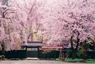 日本樱花服务器sakura哦在家，日本樱花云服务器体验之旅， sakura在家畅享云端服务