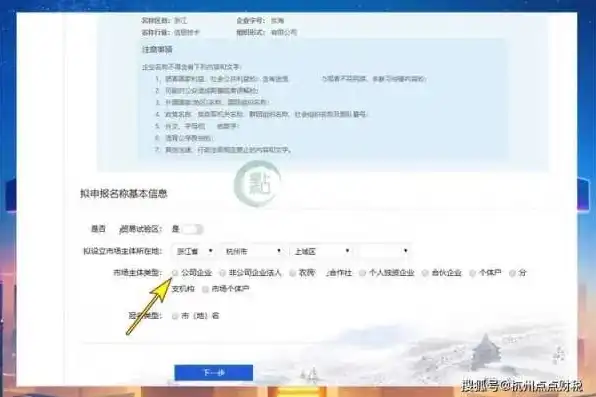 营业执照怎么注册域名信息，营业执照注册域名的详细步骤与注意事项