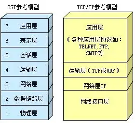 网站服务器的基本要素有哪些?什么是域名?，网站服务器基本要素解析，域名与服务器不可或缺的角色