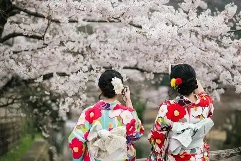 日本樱花服务器吧，日本樱花服务器，一场视觉与心灵的盛宴