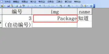 深入解析Access数据库，对象存储机制及其文件格式揭秘