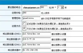 个人域名注册需要哪些条件呢怎么填，个人域名注册全攻略，了解条件、填写指南及注意事项