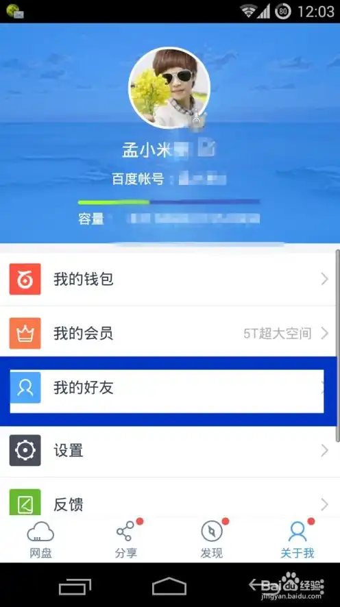 网络云盘服务是什么东西啊，揭秘网络云盘服务，便捷存储，智能共享的新时代数据管理利器