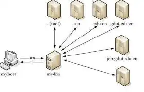 网络中的域名服务器存放着它所在，域名服务器，网络世界的指南针——解析域名服务器中的Internet主机存放奥秘