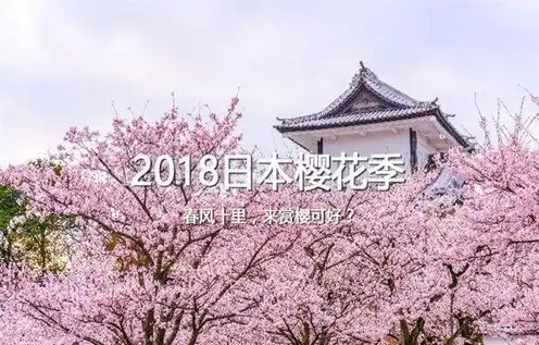 日本樱花服务器sakura哦在家，探秘日本樱花云服务器，Sakura Cloud轻松搭建个性化网站之旅