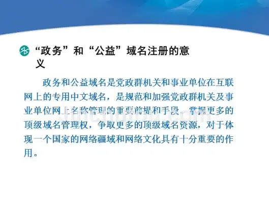 政务域名注册管理中心简介模板，政务域名注册管理中心，引领政务信息化建设新篇章