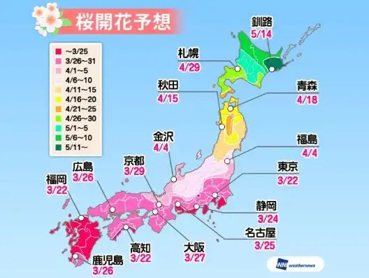 日本樱花服务器地址，日本樱花免费服务器攻略，畅游樱花盛开的网络世界