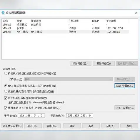 vmware怎么与主机共享文件，深入解析VMware与主机文件共享的解决方案及实战指南