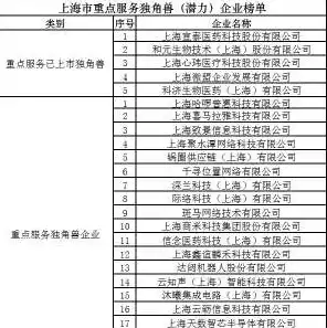 上海做云服务的公司排行榜，2023上海云服务公司排行榜，本土企业崛起，引领行业发展新风向