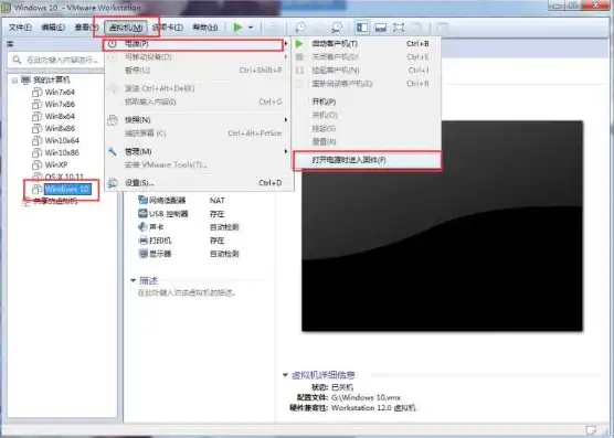 vmware虚拟机如何使用本机显卡功能，VMware虚拟机深度解析，如何高效使用本机显卡，实现跨平台游戏与设计体验