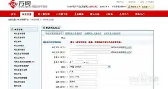 域名注册 万网，全面解析万网域名注册，万网官网域名注册流程及注意事项