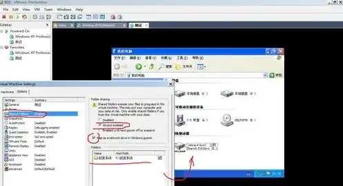 虚拟机怎么共享到本机上，深入解析虚拟机共享到本机的技巧与步骤