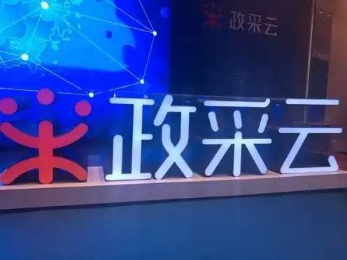 政采云服务器买卖平台是什么，政采云服务器买卖平台，打造高效便捷的政府采购新生态