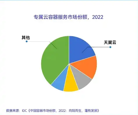 天翼云 排名，揭秘国内云服务器十大排名，天翼云实力崛起，领跑行业！