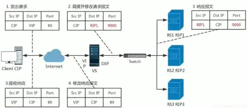 阿里云pi节点，阿里云轻量服务器搭建Pi节点详解，步骤、注意事项及优化技巧