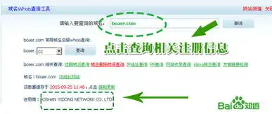 如何查询域名在哪个平台注册，揭秘域名注册奥秘，教你轻松查询域名注册平台