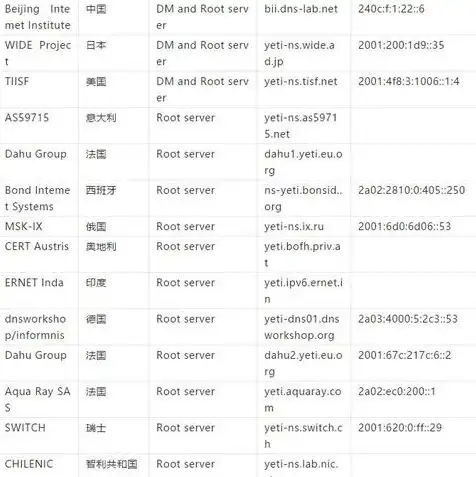 中文域名注册查询系统官网，全面解析中文域名注册查询系统官网，了解域名注册、查询与保护全攻略