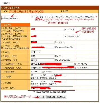 域名注册信息需要填写什么类型，域名注册信息详解，你需要填写哪些关键信息？