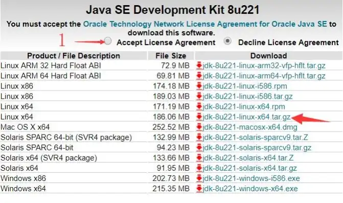 云服务器java环境，深度解析云服务器Java环境搭建与容器配置指南