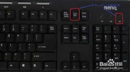 切换主机快捷键scroll lock，探索切换主机快捷键——scroll lock的奥秘与应用