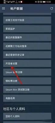 注册steam网页api域名名称填什么，详细解析Steam网页API域名注册流程及注意事项