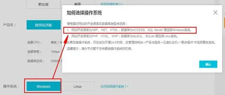 域名注册成功了为什么进不了网站查询，揭秘域名注册成功却无法访问网站的原因及解决方法