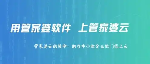 云定制化项目，企业云服务定制化解决方案，助力企业数字化转型与业务创新